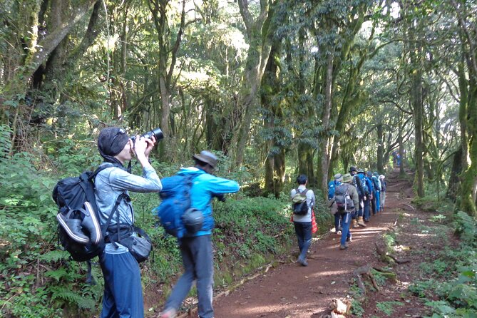 Private Full-Day Hiking Tour in Mount Kilimanjaro - Moshi to Marangu Gate: the drive that sets the tone