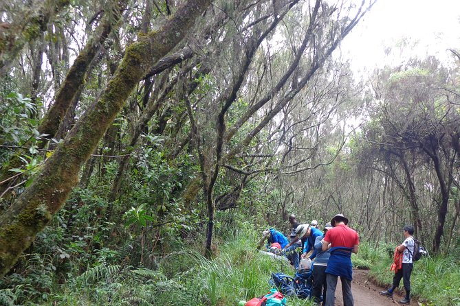 Private Full-Day Hiking Tour in Mount Kilimanjaro - Mandara Hut: what this altitude stop gives you