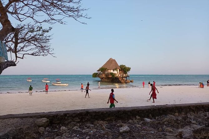 Private Full Day Jozani, Paje Beach and Rock Restaurant Tour - Jozani Forest and mangroves: Zanzibar red colobus and the boardwalk effect
