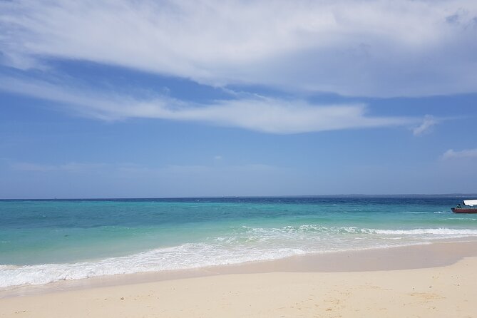 Private Full Day Jozani, Paje Beach and Rock Restaurant Tour - Price and value: what $65 covers, and where your money goes next