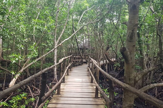 Private Full Day Jozani, Paje Beach and Rock Restaurant Tour - How to make the day run smoothly (even with a tight schedule)
