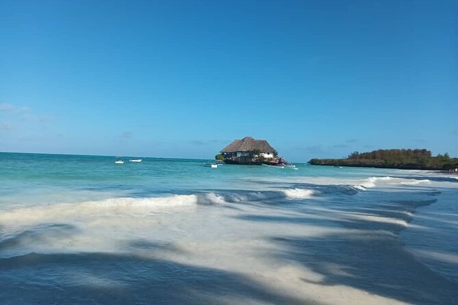 Private Full Day Jozani, Paje Beach and Rock Restaurant Tour - Who this private Jozani, Paje, and Rock Restaurant tour suits best