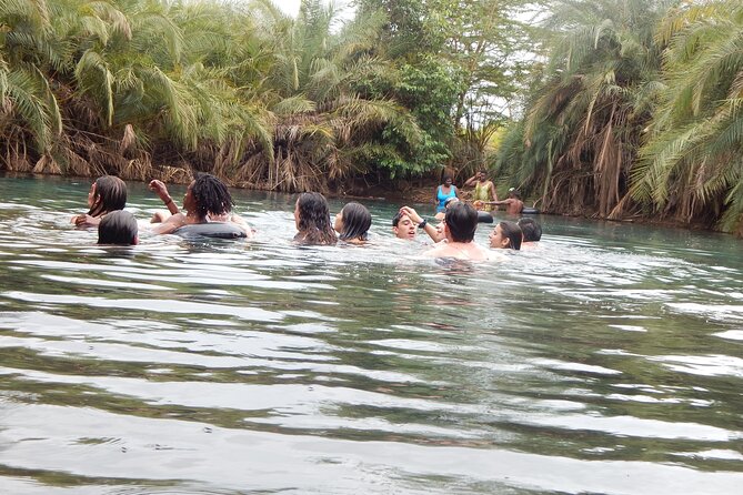 Private Full-Day Materuni Waterfall, Coffee and Hot-spring Tour in Moshi - Price and value: does $95 hold up?