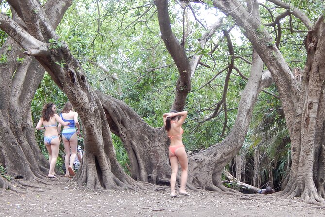 Private Full-Day Materuni Waterfall, Coffee and Hot-spring Tour in Moshi - Who this Moshi day trip is best for