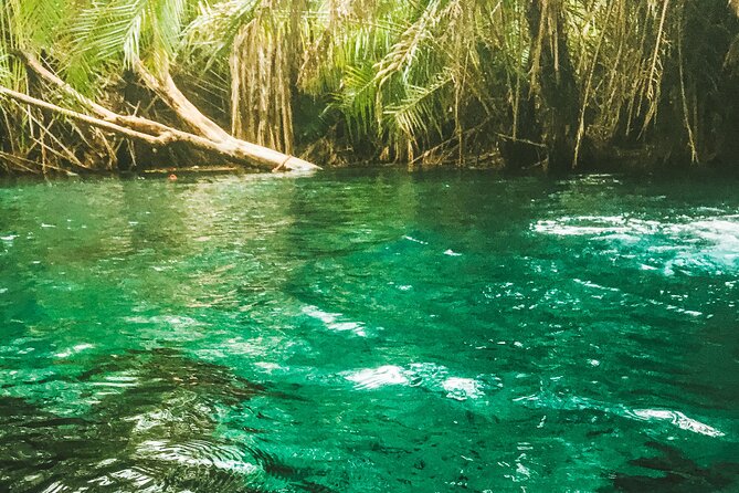 Private Full-Day Materuni Waterfalls and Kikuletwa Hotspring - Key points to know before you go