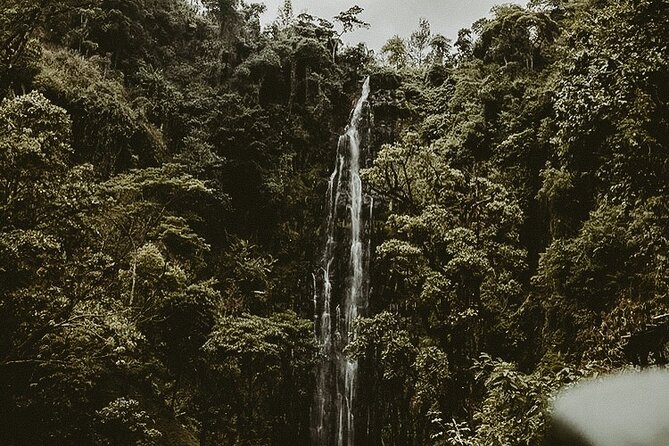 Private Full-Day Materuni Waterfalls and Kikuletwa Hotspring - A private Arusha day built around three real local experiences