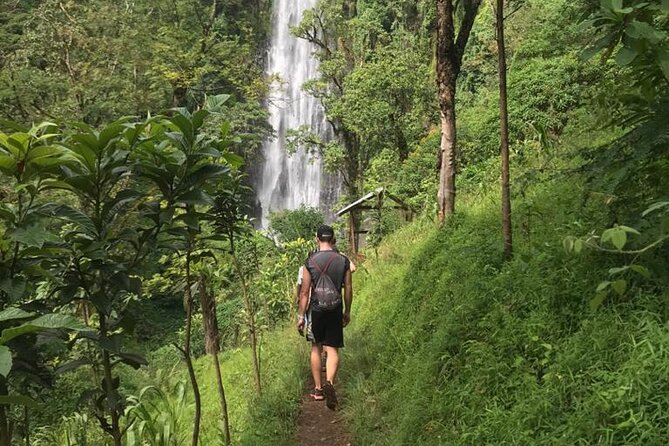Private Full-Day Materuni Waterfalls and Kikuletwa Hotspring - Stop 2: Kikuletwa hot springs, swim time and the fish foot massage