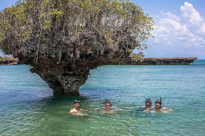 Private Full-day Safari Blue Trip with Lunch buffet - Key things to know before you go