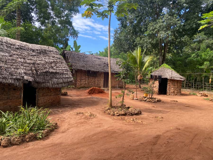 Private Full Day Trip Exploring Zanzibar Nature - Key things I’d circle before booking
