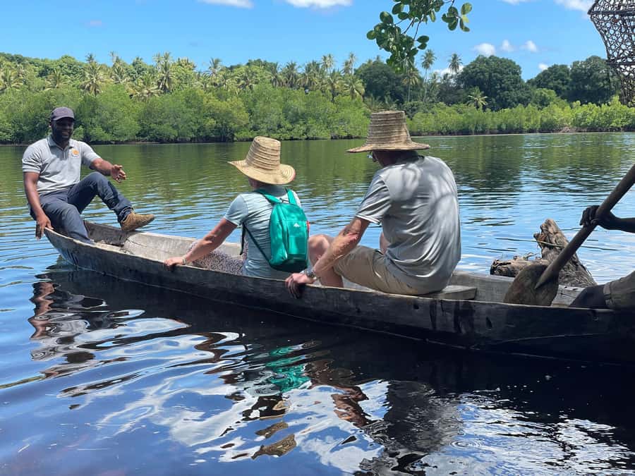 Private Full Day Trip Exploring Zanzibar Nature - Jozani Forest National Park: walk where the wildlife is still holding on
