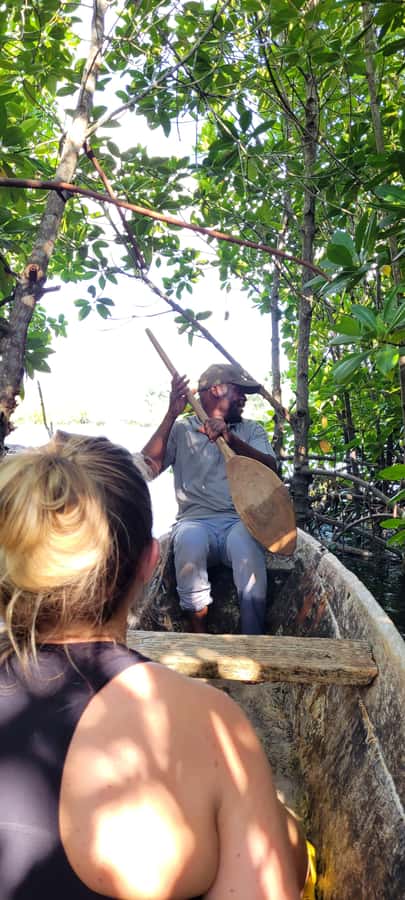 Private Full Day Trip Exploring Zanzibar Nature - Private tour value: what you get for $198 per person