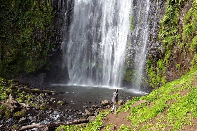 Private Full-Day Trip to Materuni Waterfalls - Price and Value: What $68.75 Covers