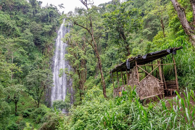 Private Full-Day Trip to Materuni Waterfalls - Guides, Safety, and the Pace That Keeps It Enjoyable