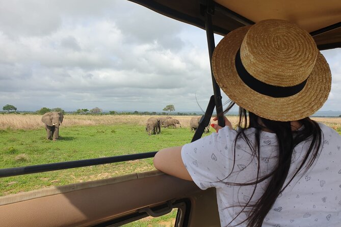 Private Full-Day Trip to Mikumi National Park from Dar es Salaam - Key things to know before you go