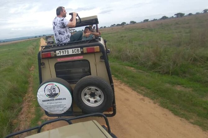 Private Full-Day Trip to Mikumi National Park from Dar es Salaam - 4:00 AM pickup from Dar es Salaam, and why that matters