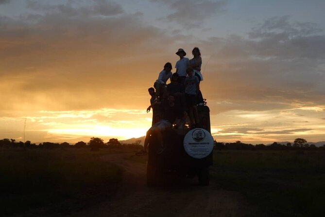 Private Full-Day Trip to Mikumi National Park from Dar es Salaam - The park drive back to Dar es Salaam, starting around 4:00 PM