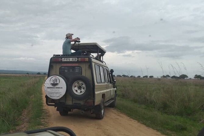 Private Full-Day Trip to Mikumi National Park from Dar es Salaam - What’s included, and why it affects value