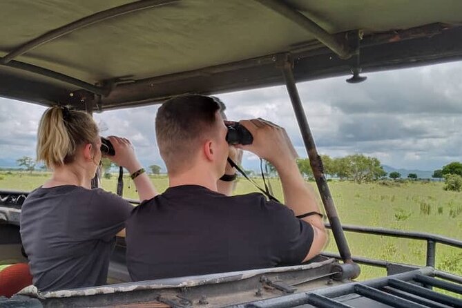 Private Full-Day Trip to Mikumi National Park from Dar es Salaam - The private safari feel: fewer people, better focus