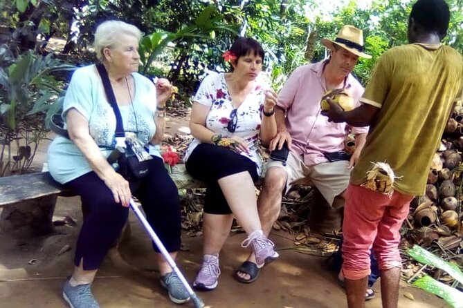 Private Full Day Trip to Stone Town, Spice Farms and Jozani Forest - Transportation, pacing, and what 7 to 8 hours really means