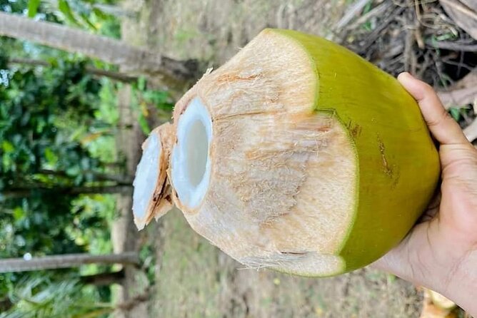 Private Full Day Trip to Stone Town, Spice Farms and Jozani Forest - Price and value: why $150 per person can make sense