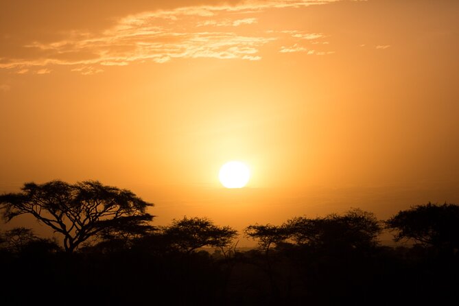 Private Group Serengeti Safari, Crater & Tarangire National Park - Who This Safari Suits Best (And Who Might Want More Days)