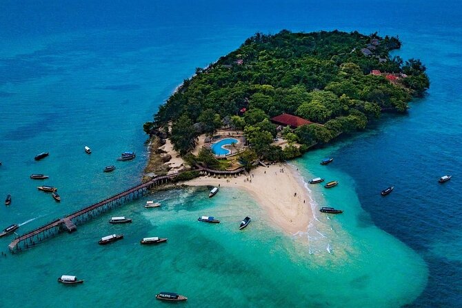 Private Guided Tour on Prison Island Stone Town and Spice Farm - Changuu Prison Island: tortoises, a small museum, and time in the sea