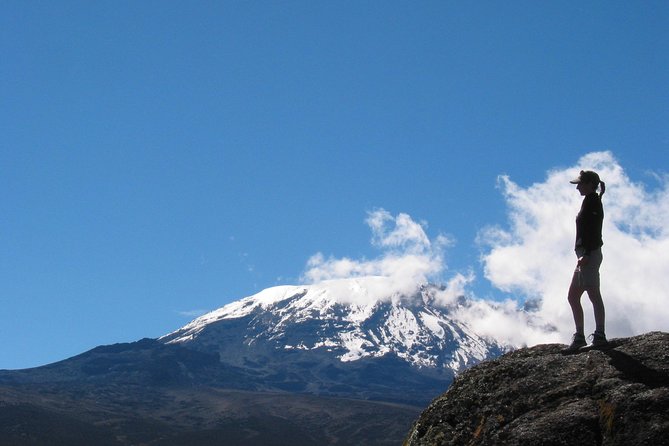 Private Kilimanjaro Climb - Any Route - 8 to 15+ Days - Food on the mountain: what’s included and why chefs make a difference