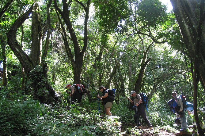Private Kilimanjaro Climb - Any Route - 8 to 15+ Days - Route freedom means you can match the climb to your group