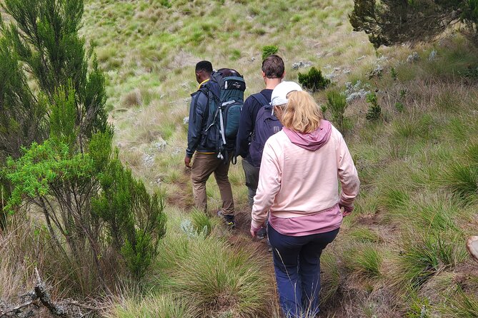 Private Kilimanjaro Day Hike to Marangu Route's Mandara Hut - Return to Marangu Gate: 2-3 hours of steady downhill