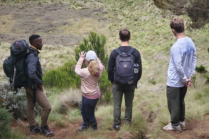 Private Kilimanjaro Day Hike to Marangu Route's Mandara Hut - Gear checklist: what to rent vs what to bring
