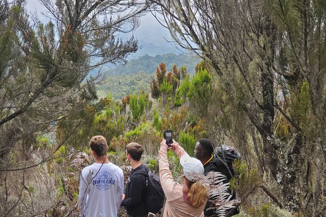 Private Kilimanjaro Day Hike to Marangu Route's Mandara Hut - Mandara Hut at 2700m: rest, lunch, and a good reality check
