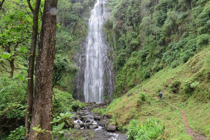 Private Materuni and Chemka Hotspring Tour - Key things to know before you go