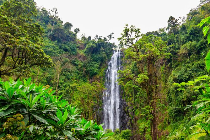 Private Materuni and Chemka Hotspring Tour - Entering the Materuni Waterfall trail near Moshi