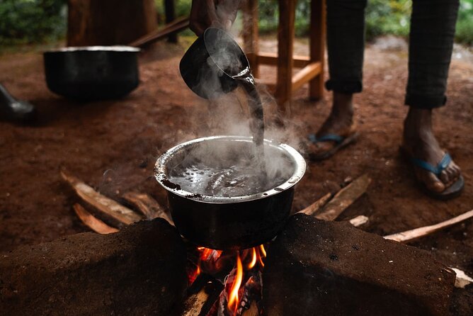 Private Materuni and Chemka Hotspring Tour - Who should book this Materuni and Chemka tour