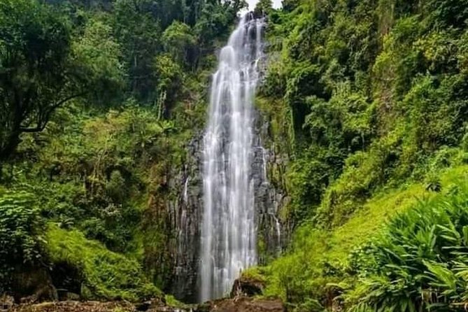 Private Materuni Waterfall & Coffee Tour. - Moshi’s Materuni mix: why this tour is such a good value