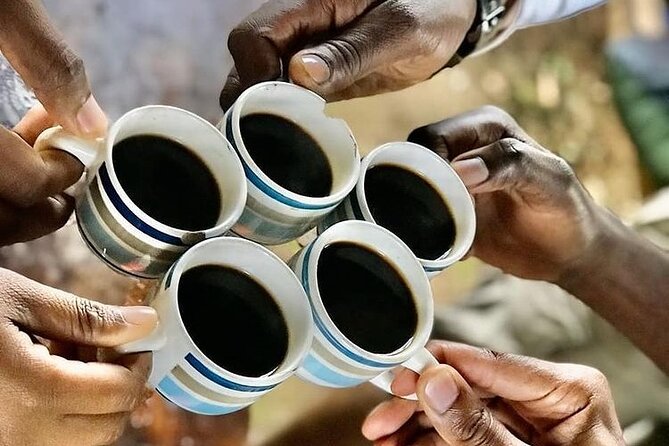 Private Materuni Waterfall & Coffee Tour. - Materuni village and Chagga culture: the human side of the day