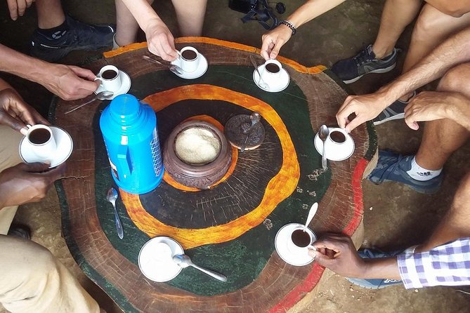 Private Materuni Waterfall & Coffee Tour. - Getting there smoothly from Moshi: pickup and private transport