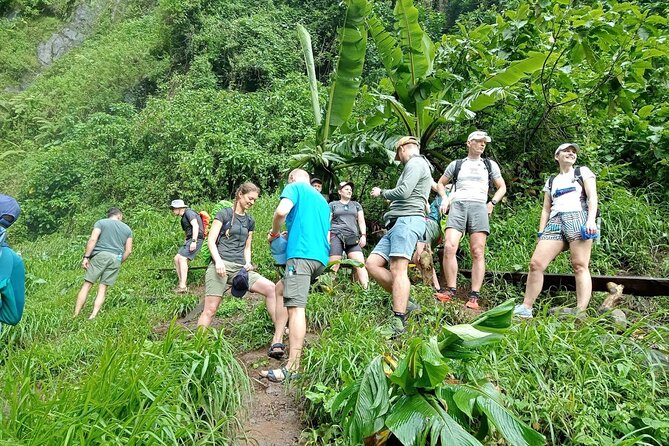 Private Materuni Waterfalls, Coffee Tour and Kikuletwa Hot Spring - Key highlights you’ll actually feel