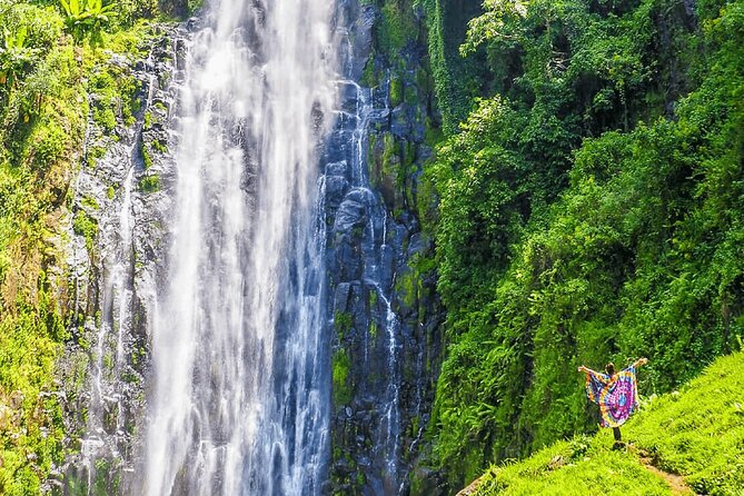 Private Materuni Waterfalls, Coffee Tour and Kikuletwa Hot Spring - A full day from Arusha: how the 12-hour loop works