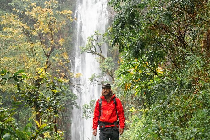 Private Materuni Waterfalls, Coffee Tour and Kikuletwa Hot Spring - The coffee farm stop: from crop to roasting, then a fresh cup