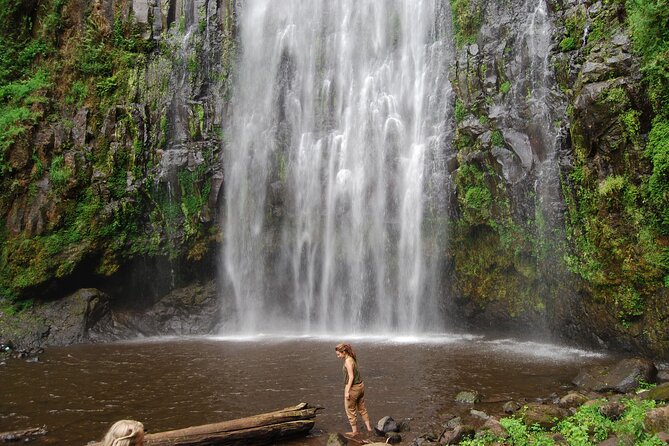 Private Materuni Waterfalls, Coffee Tour and Kikuletwa Hot Spring - Value check: is $128.58 per person a smart deal?