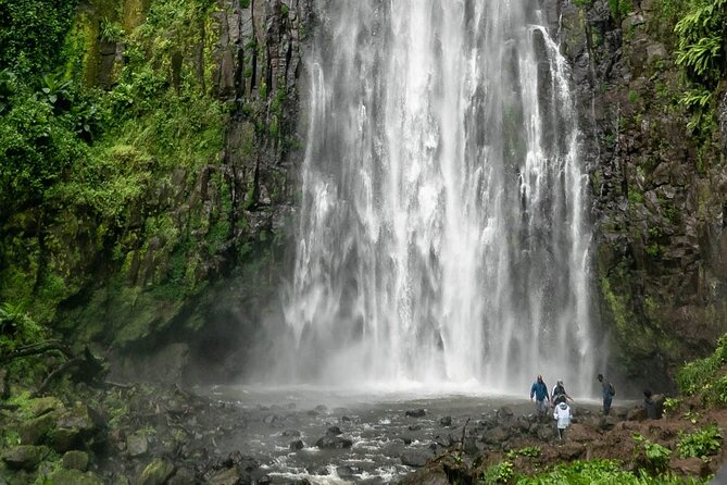 Private Materuni Waterfalls, Coffee Tour and Kikuletwa Hot Spring - Who this tour fits best