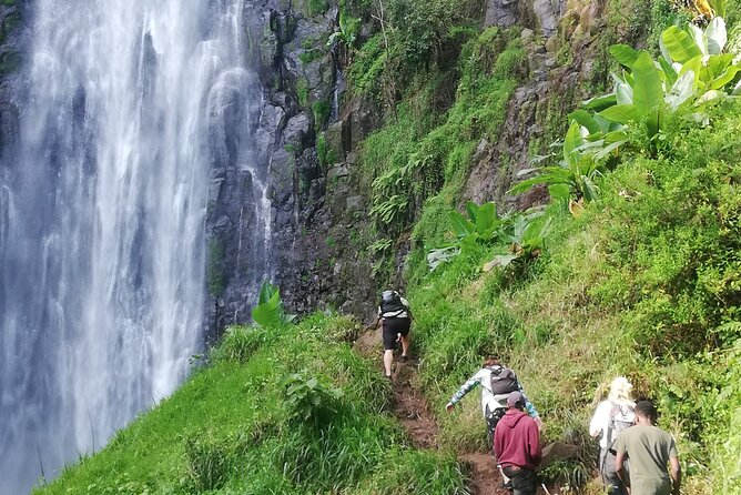 Private Materuni Waterfalls Hiking and Coffee Tour - Materuni Waterfall hike: rainforest trail, 2500m altitude, real farms
