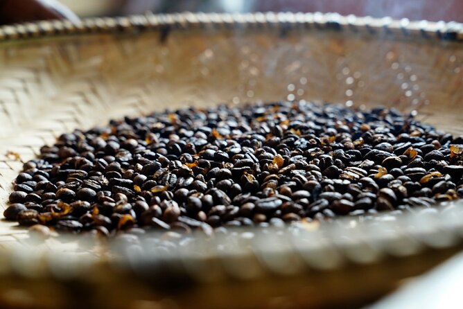 Private Meru Coffee Tour in Nkoaranga - Key moments that make this tour worth it