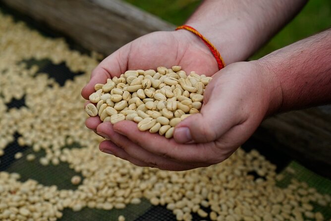 Private Meru Coffee Tour in Nkoaranga - The Small Things stop: from Mt. Meru foothills to a cup you brewed