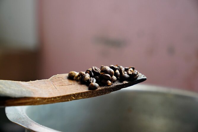 Private Meru Coffee Tour in Nkoaranga - The Meru coffee traditions lesson that makes your cup make sense