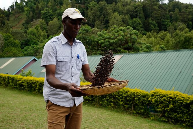 Private Meru Coffee Tour in Nkoaranga - Supporting vulnerable children and families, without the awkward feeling
