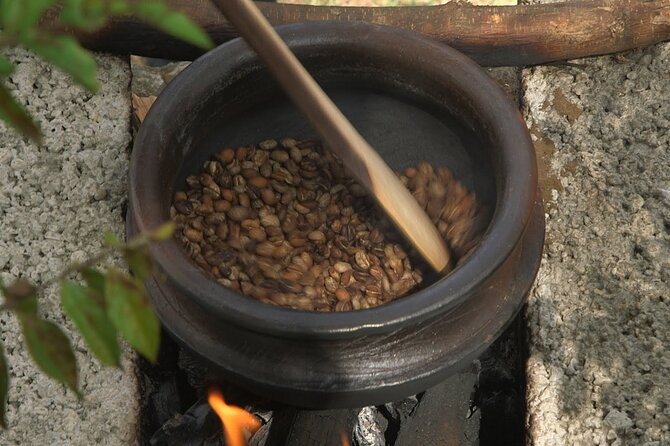 Private Meru Coffee Tour in Nkoaranga - Price and value: why $35 is more than a plantation ticket