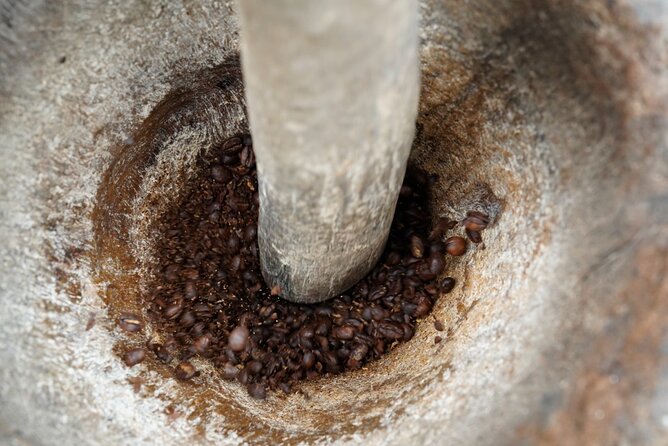 Private Meru Coffee Tour in Nkoaranga - Who should book this private Meru coffee tour