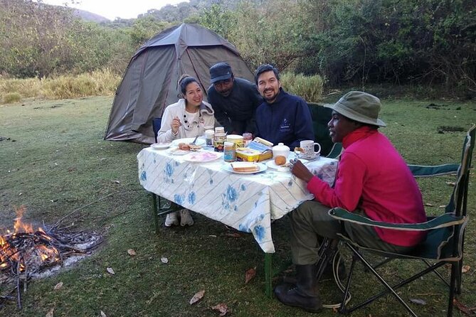 Private Multi day Safari tour in Tanzania - Serengeti Timing: Nairobi-Style Planning, but for Safari